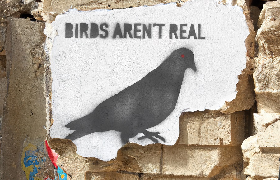 Birds Aren't Real Album Cover