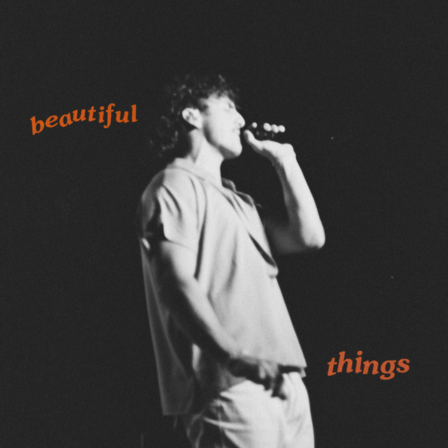 Benson Boone Beautiful Things song cover